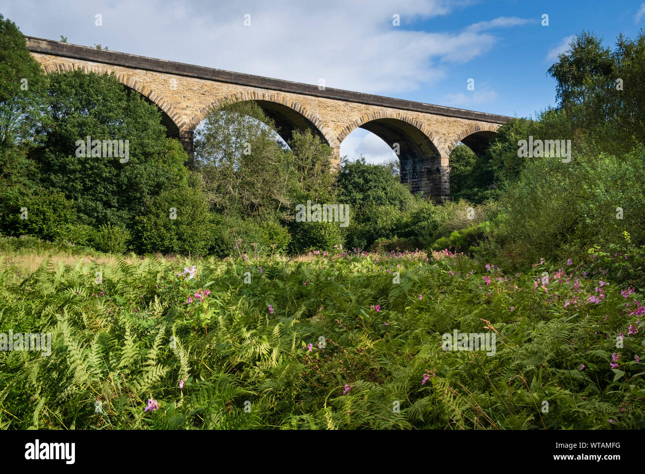 Près de Rowlands Gill le Derwent Walk Country Park et viaduc qui une fois effectué le Derwent Valley Railway Banque D'Images