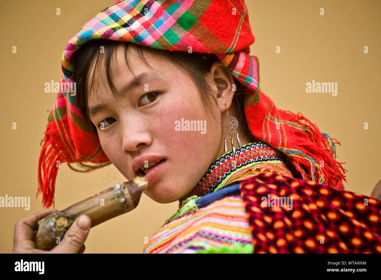 Fille Hmong de canne à sucre de l'alimentation Banque D'Images