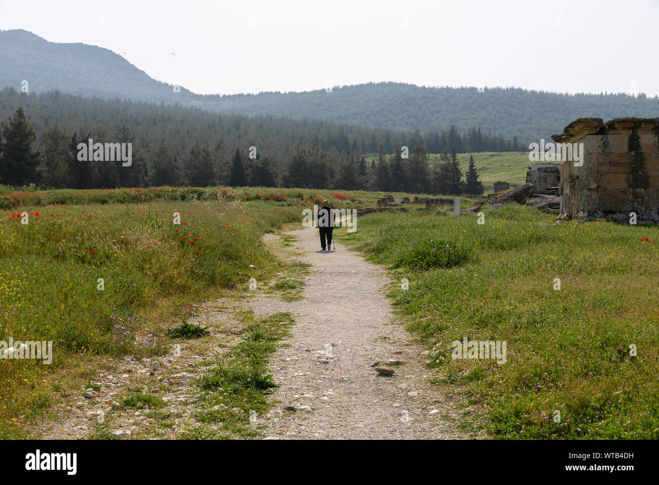 Route de terre en passant par les tombes de nécropole à château de coton au printemps - pamukkale - hierapolis -Turquie Banque D'Images