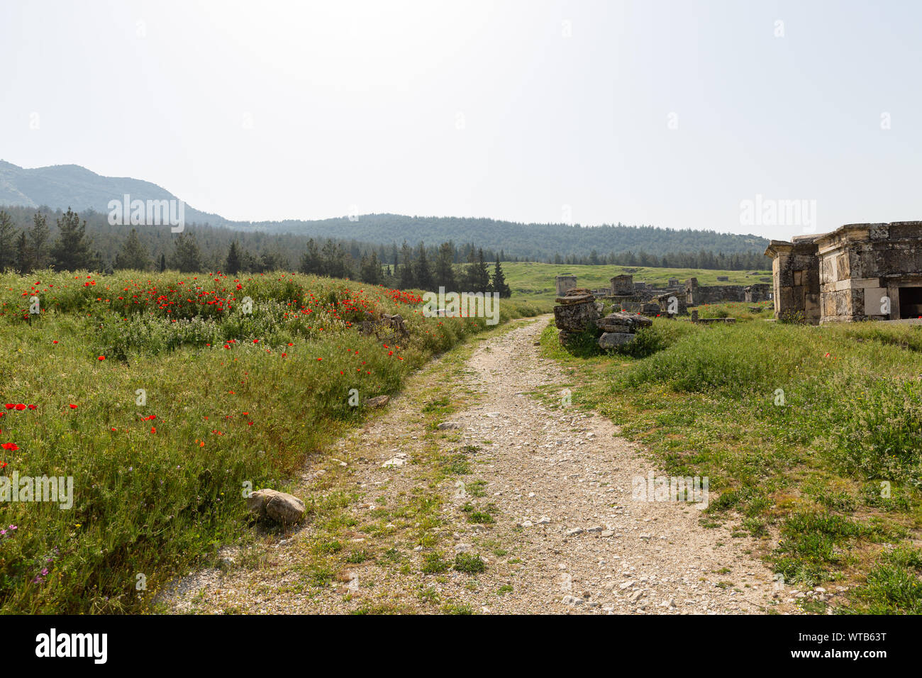 Route de terre en passant par les tombes de nécropole à château de coton au printemps - pamukkale - hierapolis - Turquie Banque D'Images