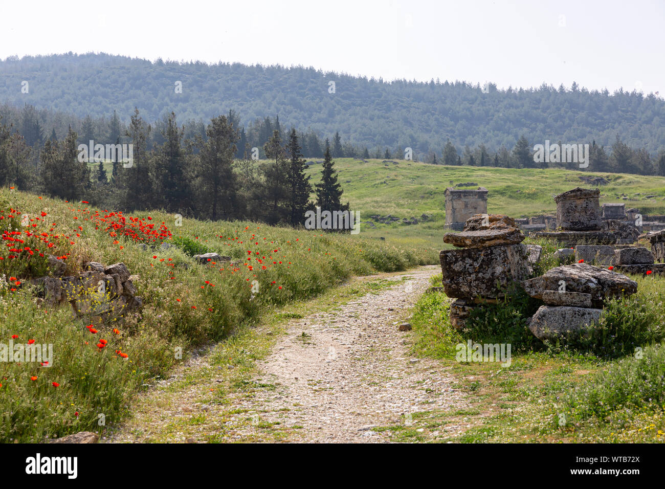 Route de terre en passant par les tombes de nécropole à château de coton au printemps - pamukkale - hierapolis - Turquie Banque D'Images
