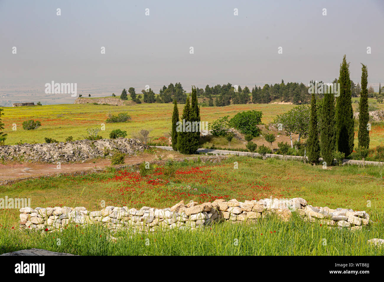 Tombes anciennes dans la nécropole - Pamukkale - Hierapolis - Château de coton - Denizli - Turquie Banque D'Images