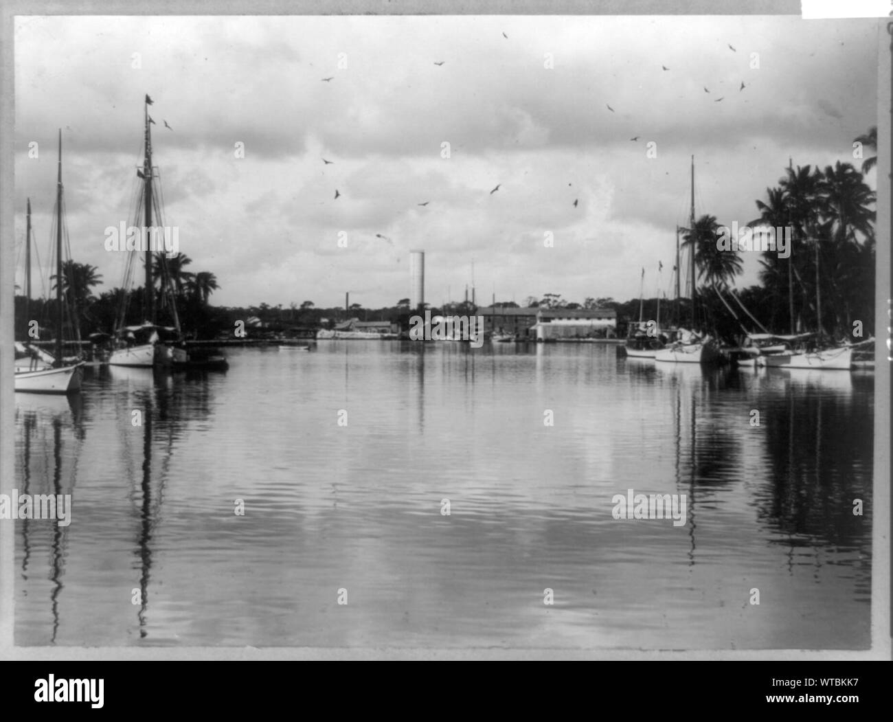 Rivière Miami, Miami, Floride, port d'accueil Banque D'Images