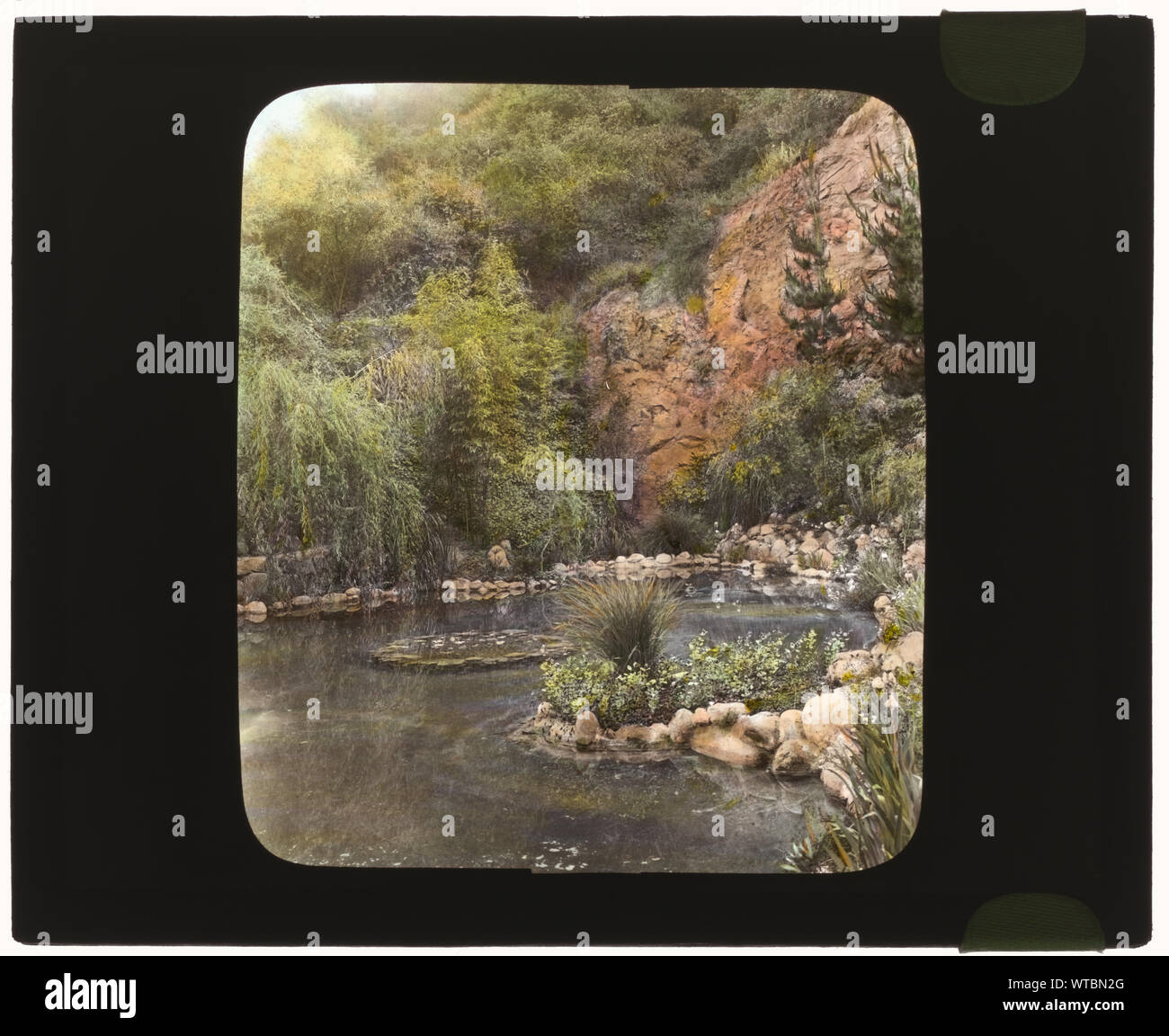 Michael Cochrane Armor House, 962, avenue Linda Vista, Pasadena, Californie. Lily extérieure Banque D'Images