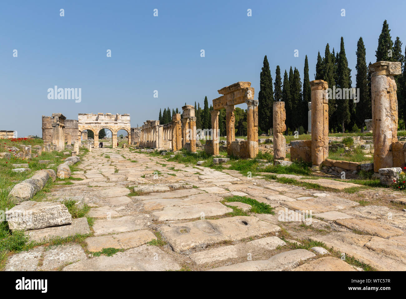 Anciennes colonnes achats intragroupe dans agora fleurs cultivées chiot salon Hierapolis Pamukkale Turquie frontinus gate - porte de Domitien Banque D'Images