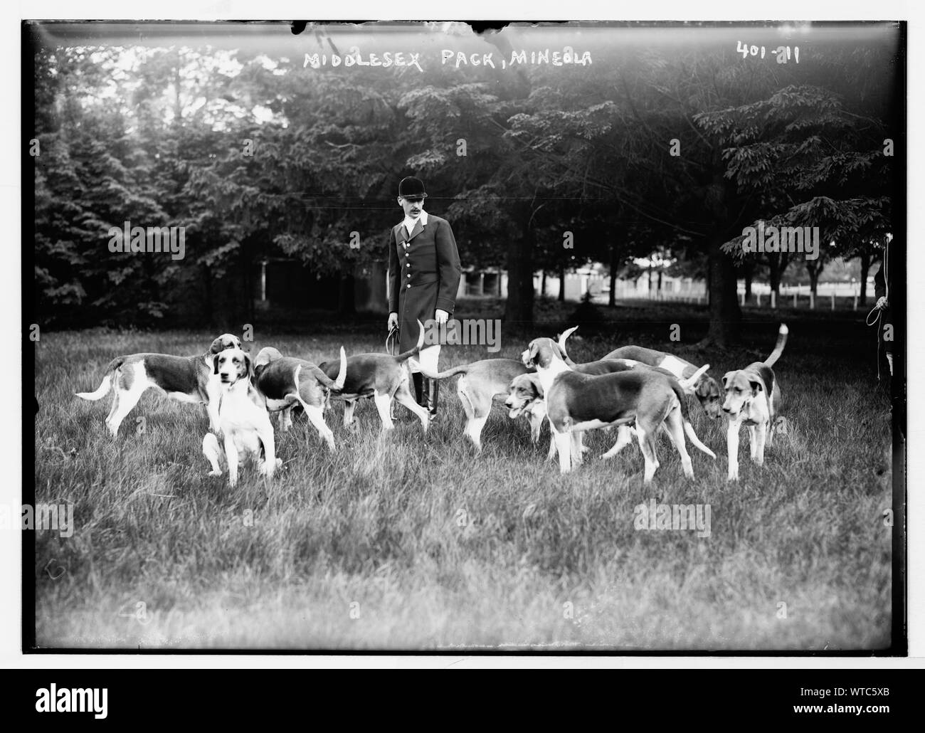 Pack de Middlesex, Mineola Banque D'Images Pack de Middlesex, Mineola Banque D'Images