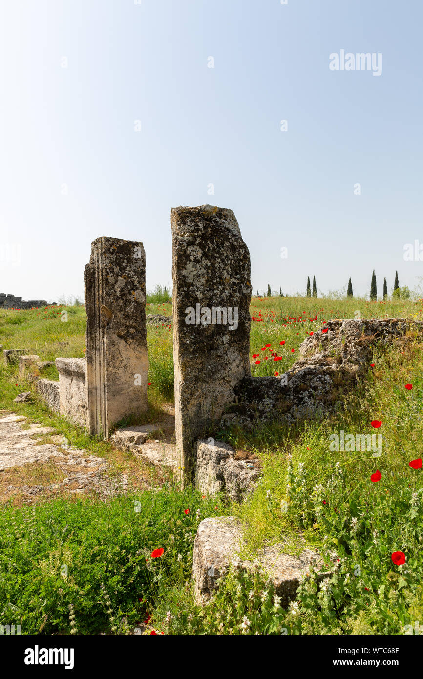 Les colonnes anciennes et fleurs cultivées dans la région de chiot agora Hiérapolis Pamukkale Turquie Banque D'Images