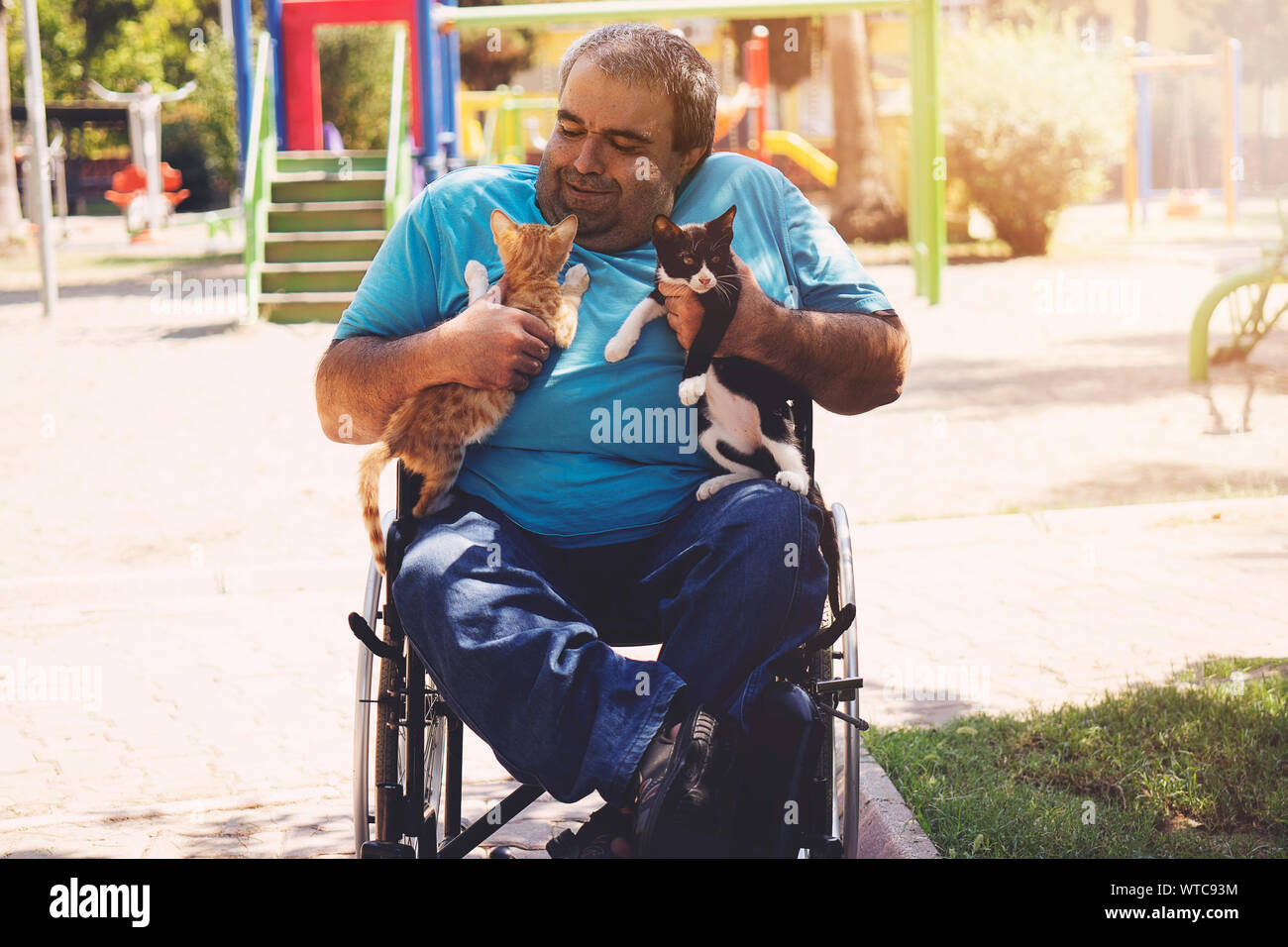 Homme assis sur fauteuil roulant et maintenant les chats sur ses bras en face de jardin vert contre la lumière du matin, l'espoir concept Banque D'Images