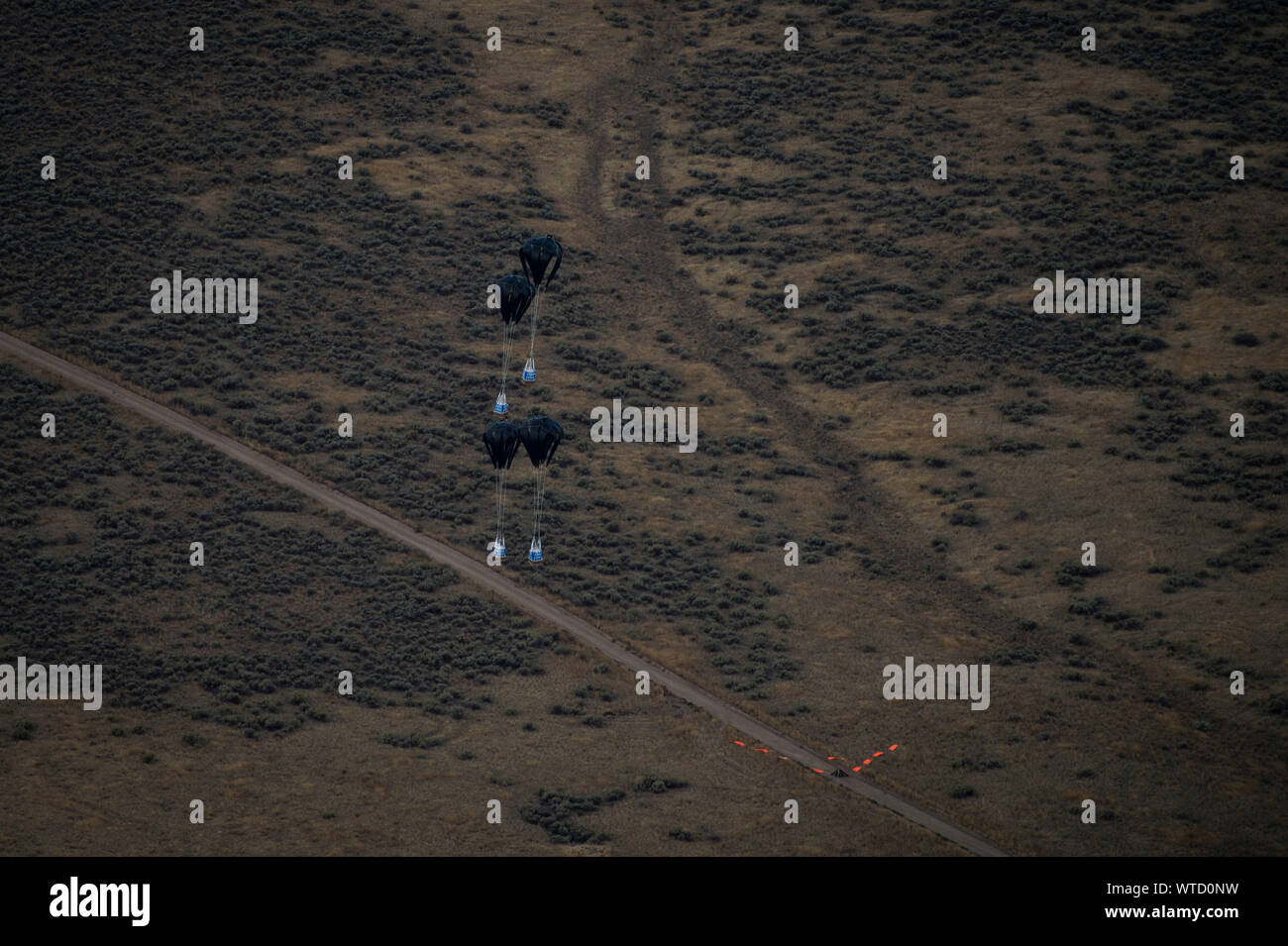 Palettes de marchandises sont déchargées d'un C-17 Globemaster III sur une zone de chute lors d'une chute de l'air sortie pendant l'exercice 2019 Guardian Mobility près de Fairchild Air Force Base, Washington, le 10 septembre, 2019. La mobilité de l'exercice est gardien de l'Air Mobility Command, premier exercice de la mobilité à grande échelle. Grâce à une solide formation, mobilité et les tuteurs améliore la préparation et les capacités de mobilité d'aviateurs canadiens à offrir la mobilité mondiale rapide et crée une plus mortels et prêt de la Force aérienne. (U.S. Air Force photo de Tech. Le Sgt. Larry E. Reid Jr.) Banque D'Images