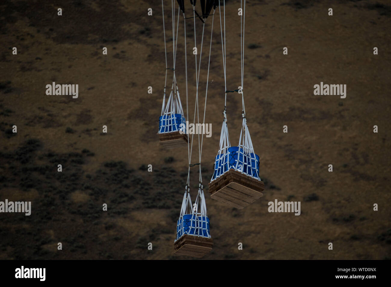 Palettes de marchandises sont déchargées d'un C-17 Globemaster III sur une zone de chute lors d'une chute de l'air sortie pendant l'exercice 2019 Guardian Mobility près de Fairchild Air Force Base, Washington, le 10 septembre, 2019. La mobilité de l'exercice est gardien de l'Air Mobility Command, premier exercice de la mobilité à grande échelle. Grâce à une solide formation, mobilité et les tuteurs améliore la préparation et les capacités de mobilité d'aviateurs canadiens à offrir la mobilité mondiale rapide et crée une plus mortels et prêt de la Force aérienne. (U.S. Air Force photo de Tech. Le Sgt. Larry E. Reid Jr.) Banque D'Images