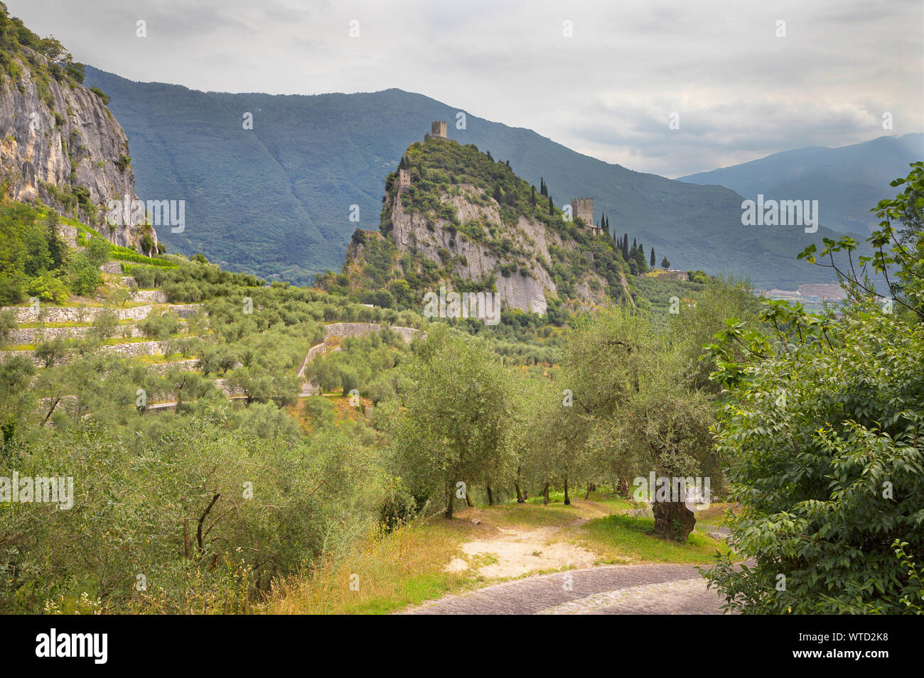 Arco - le château médiéval ower les olives. Banque D'Images