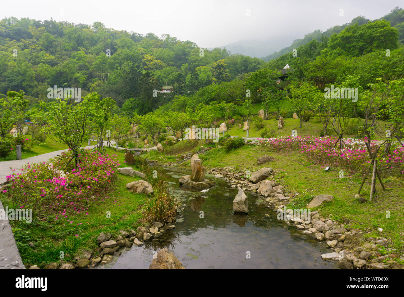 Parc National Yangmingshan Banque D'Images