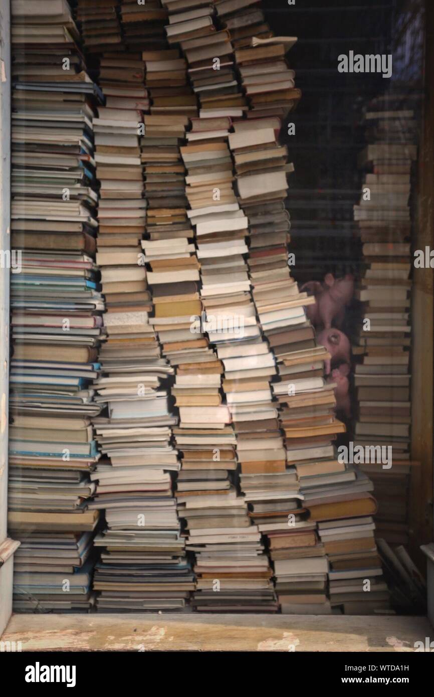 Pile de livres en librairie Banque D'Images