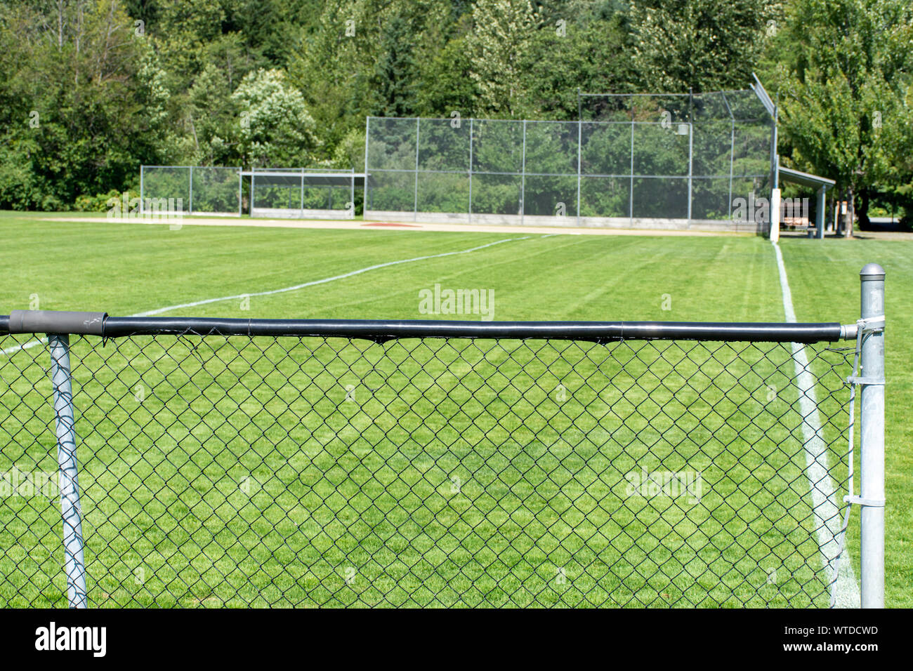 Le baseball ou le softball vide de l'arrière clôture et ligne de faute à la recherche vers l'herbe et les arbres, à Whistler, Colombie-Britannique, Canada. Banque D'Images