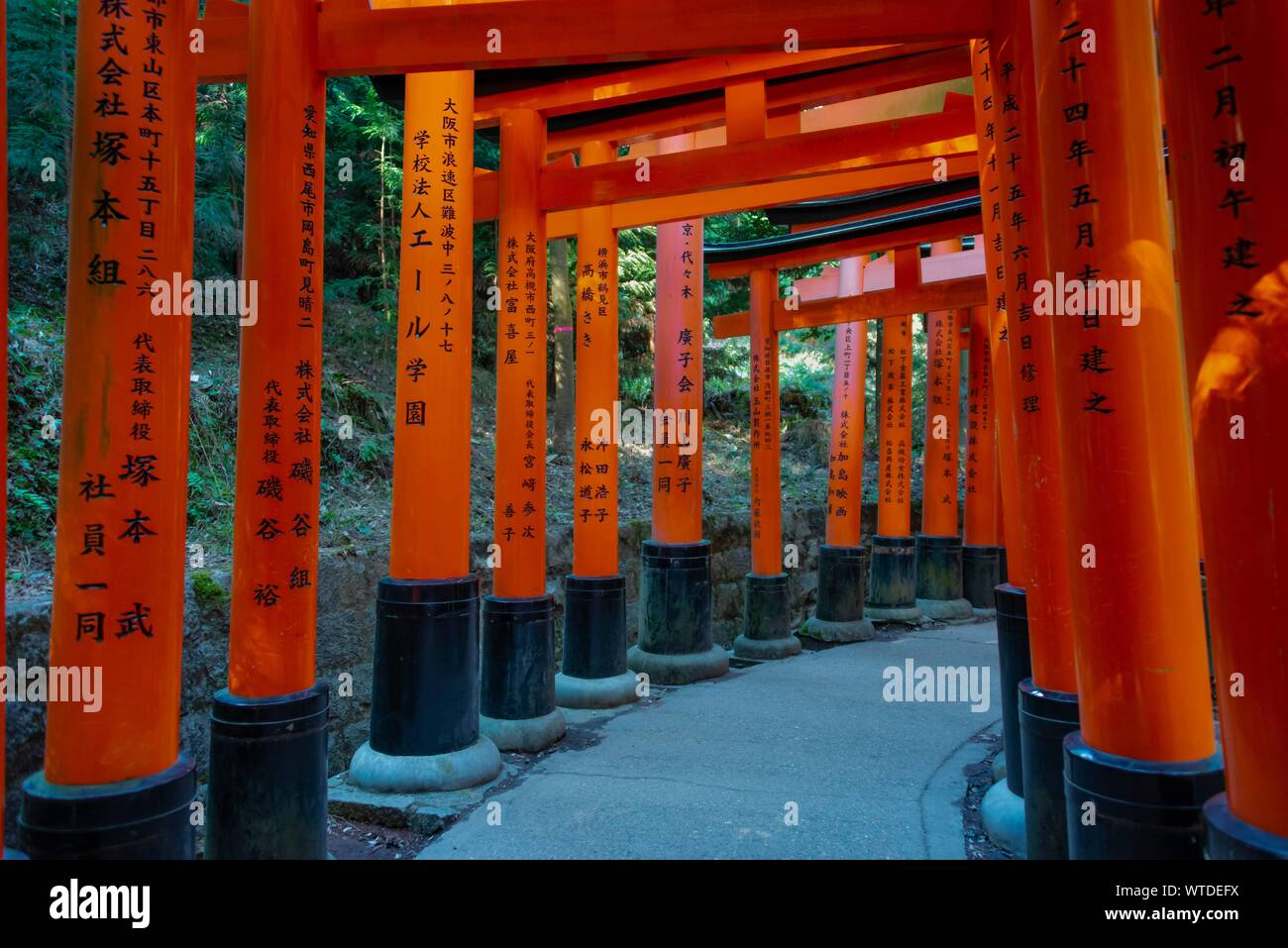 Fushimi Inari Taisha, temple shintoïste, beaucoup de rouge traditionnel Toriii portes, Fushimi Inari-taisha Fushimi, Hohaisho Okusha, Kyoto, Japon Banque D'Images