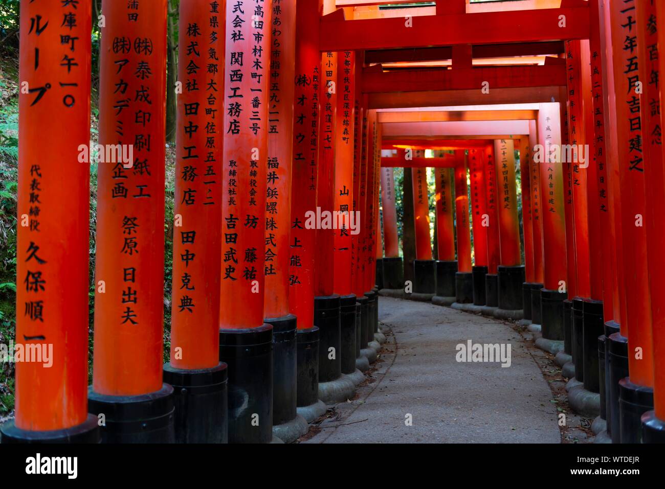 Fushimi Inari Taisha, temple shintoïste, beaucoup de rouge traditionnel Toriii portes, Fushimi Inari-taisha Fushimi, Hohaisho Okusha, Kyoto, Japon Banque D'Images