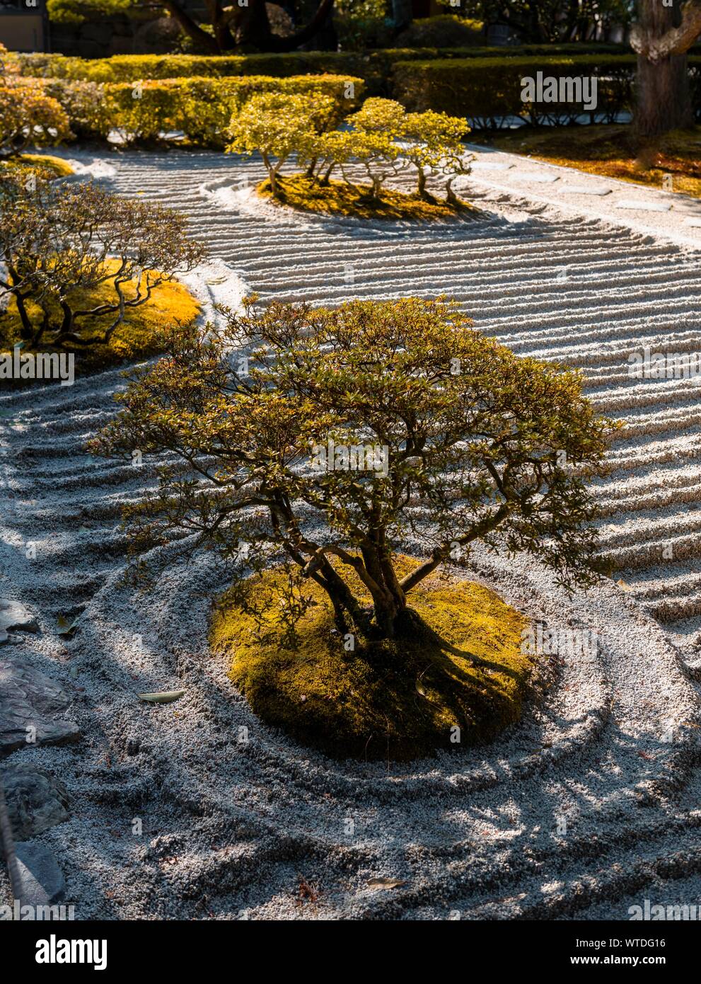 Rock Garden, jardin Zen, Jisho-ji, temple Zen, Higashiyama, Kyoto, Japon Banque D'Images