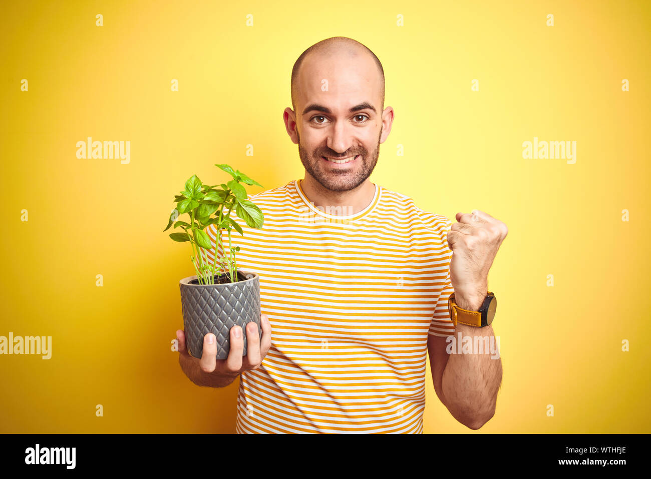 Jeune homme tenant le basilic plat terrain isolé sur fond jaune crier fier et célébrer la victoire et le succès très excité, encourageant l'émotion Banque D'Images