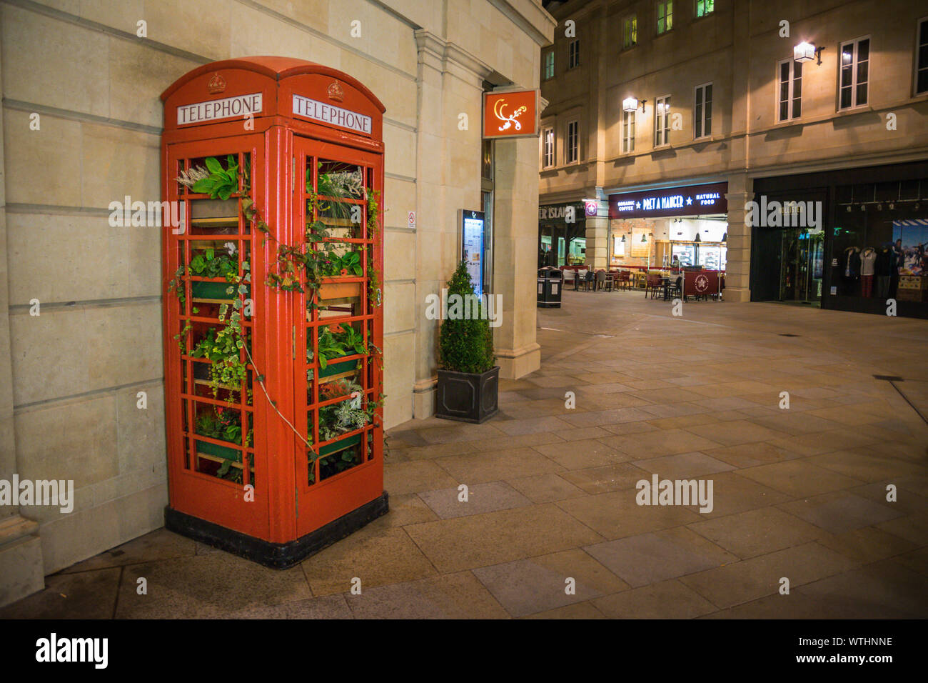 Téléphone rouge fort rempli de plantes à Bath, Angleterre la nuit Banque D'Images