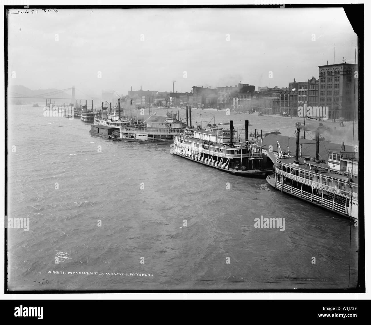 Quais de Monongahela, Pittsburg. La plaque d'origine peut révéler les noms de plus de bateaux à vapeur, mais les trois principaux sont (L-R) le ''Lorena'', ''Rose Hite'', et ''Edgar Cherry'', Date c1902 Note WHJ 274-02 sur négatif. Detroit Publishing Co. no 014271. Don de la Société historique de l'État du Colorado ; 1949. Les sociétés sises Piers & rivières quais bateaux à vapeur États-Unis--New York--Pittsburgh United States--New York--La rivière Monongahela, Washington--Pittsburgh Pennsylvanie--La rivière Monongahela. Banque D'Images