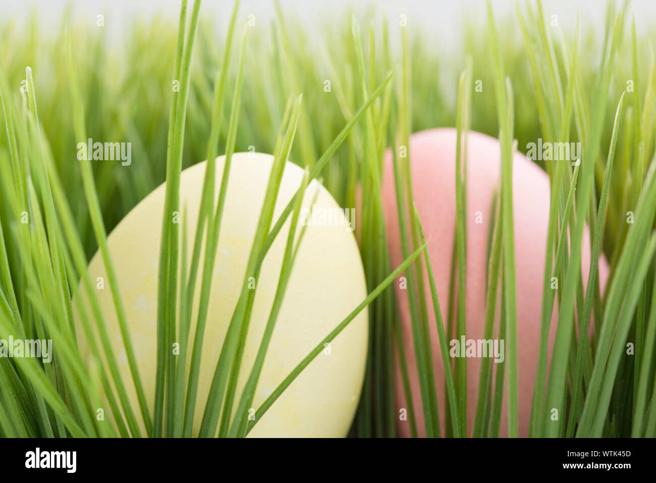 Œufs de Pâques colorés pastel in grass Banque D'Images