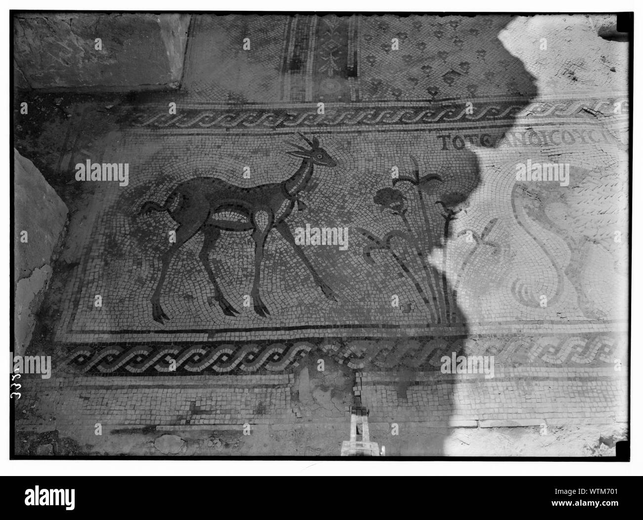 Le Mont Nebo. Jebel Nebba. Nebo, chapelle de Sainte Marie. Détail des mosaïques ; fleurs & gazelle Banque D'Images