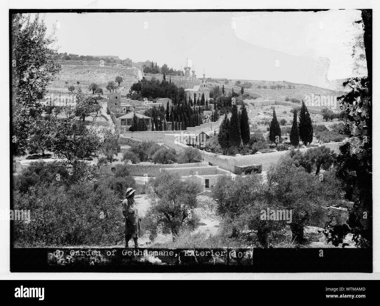 Mont des Oliviers (Djebel) Et-Tur etc. vue générale du jardin de Gethsémani Banque D'Images