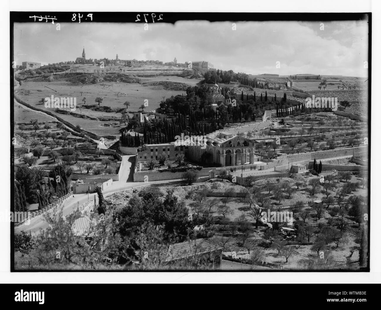 Mont des Oliviers et de Gethsémani. Jardin de Gethsémani. Prises depuis le cyprès majestueux ont été enlevés en 1933 Banque D'Images