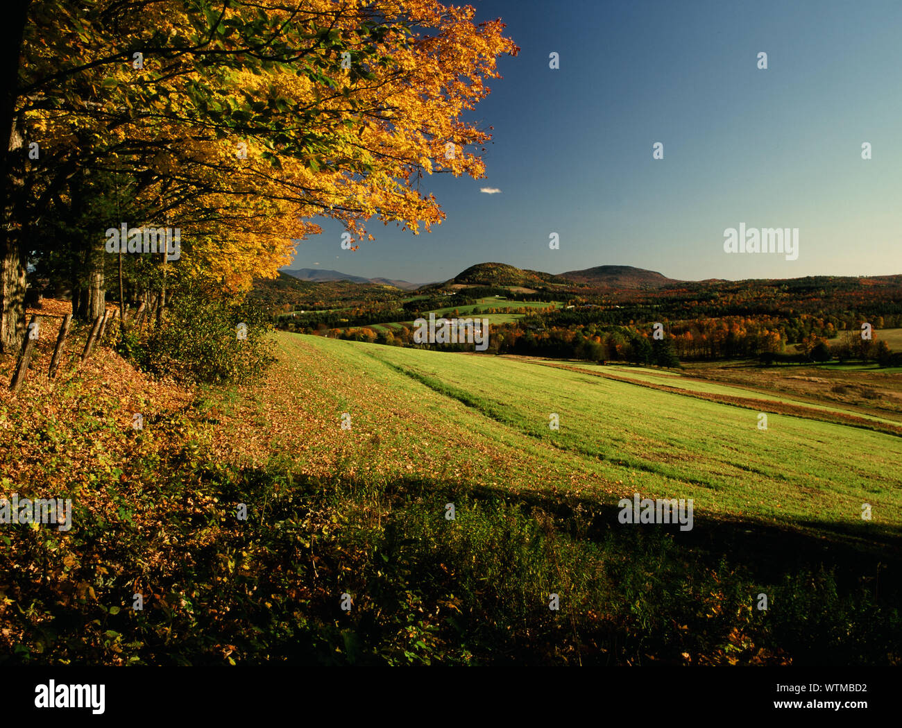 Automne à Peacham Vermont Banque D'Images