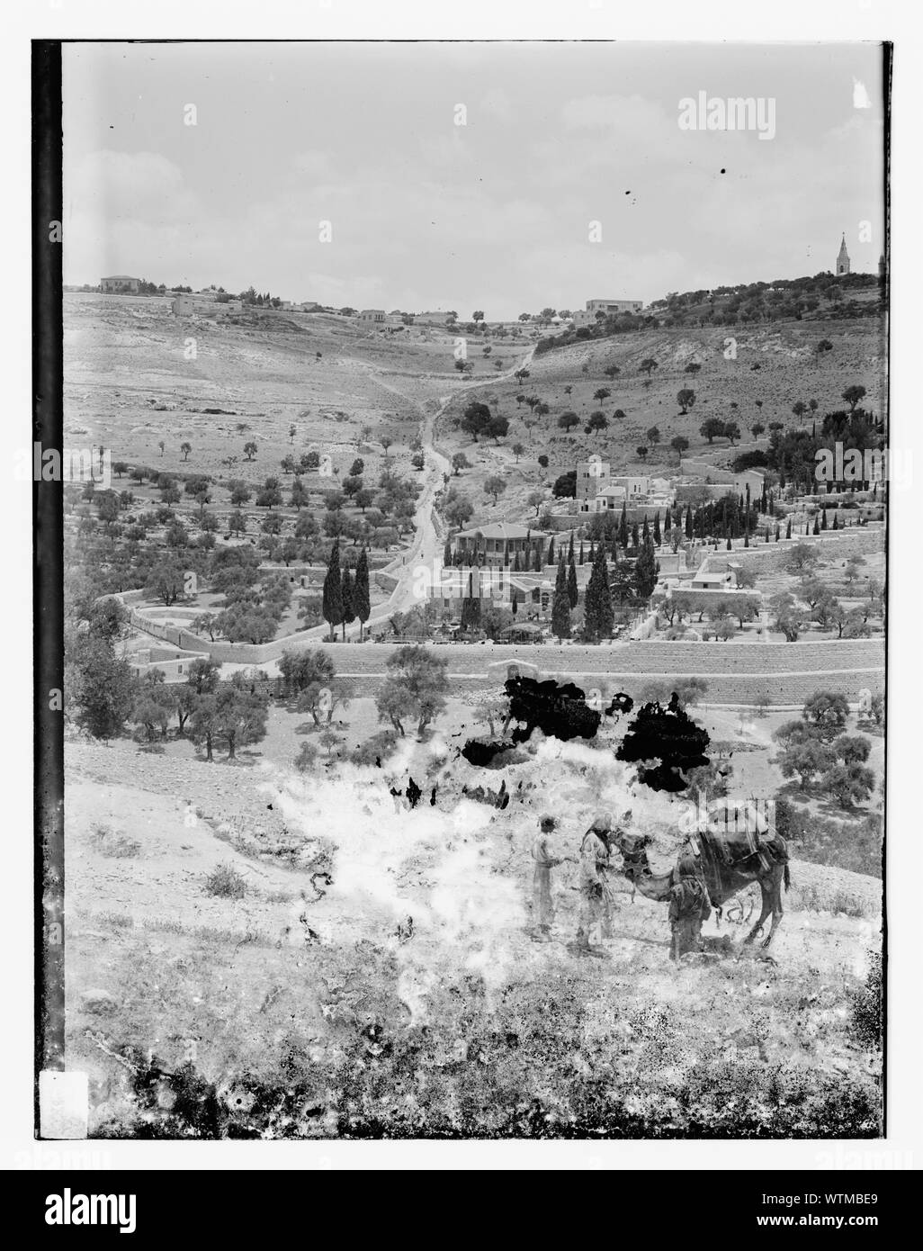 Mont des Oliviers de l'ouest, camel en premier plan Banque D'Images