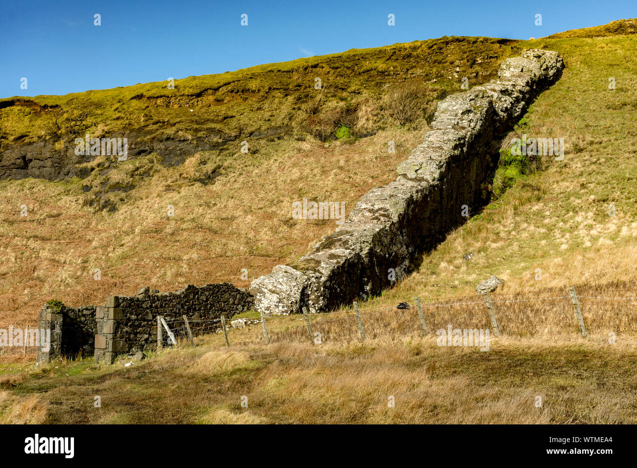 Dyke volcanique au-dessus de l'ancienne jetée, Calgary Bay, Isle of Mull, Scotland, UK Banque D'Images