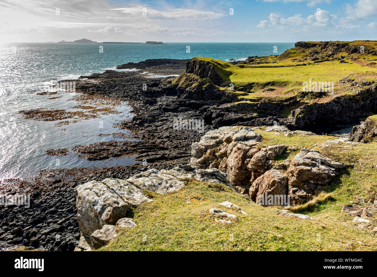 Les îles Treshnish de la presqu'île Treshnish promenade côtière, Isle of Mull, Scotland, UK Banque D'Images