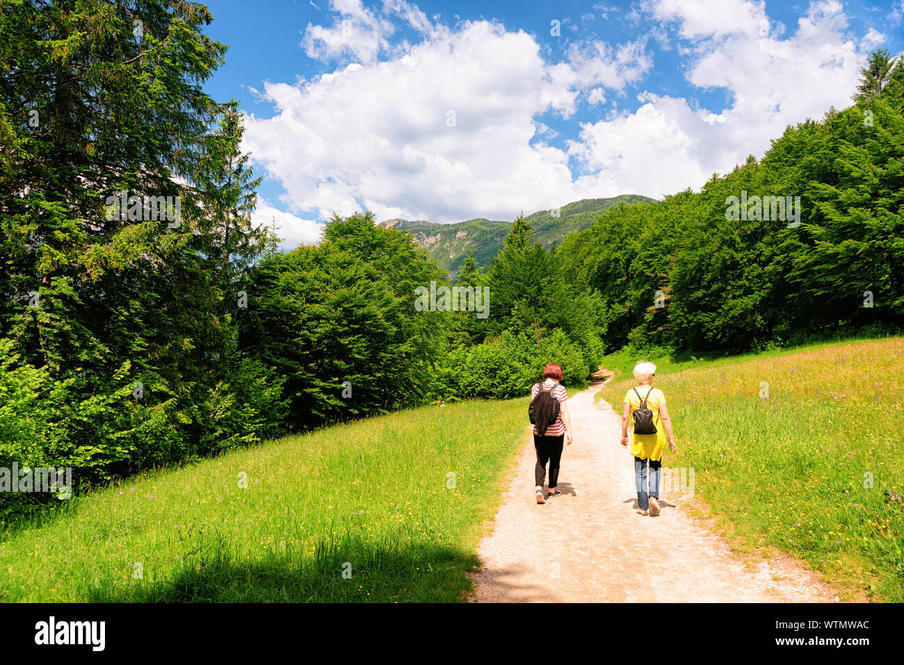 Randonnées et les paysages de routards lac de Bohinj en Slovénie Banque D'Images