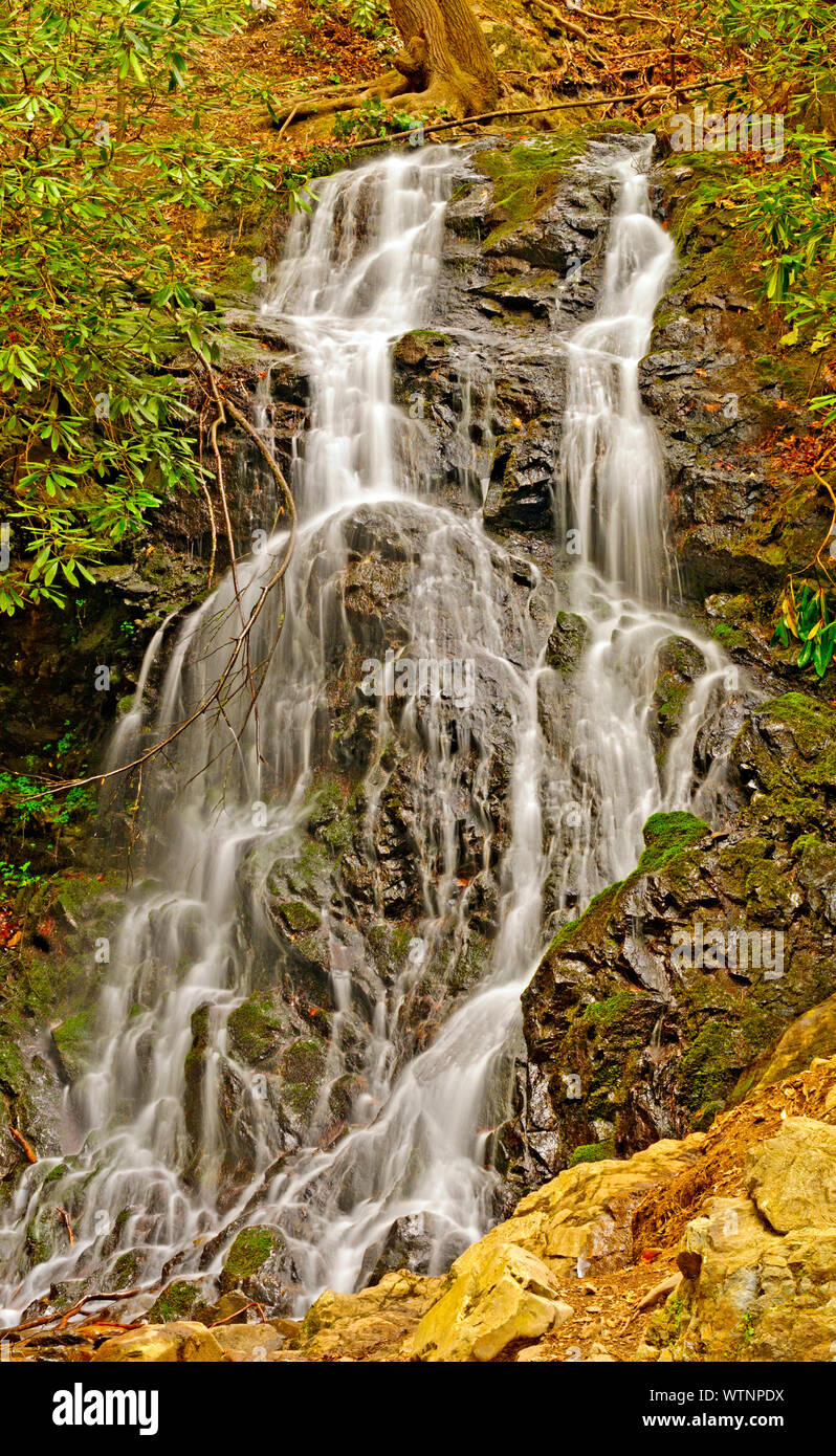 Cataract Falls dans le Smoky Mountain au printemps Banque D'Images