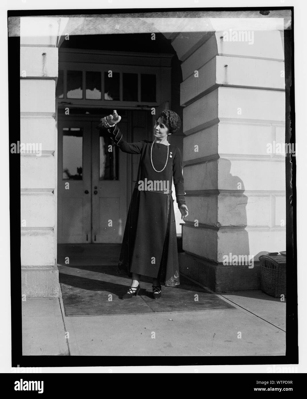 Mme Coolidge avec pigeon, 12/8/23 Banque D'Images