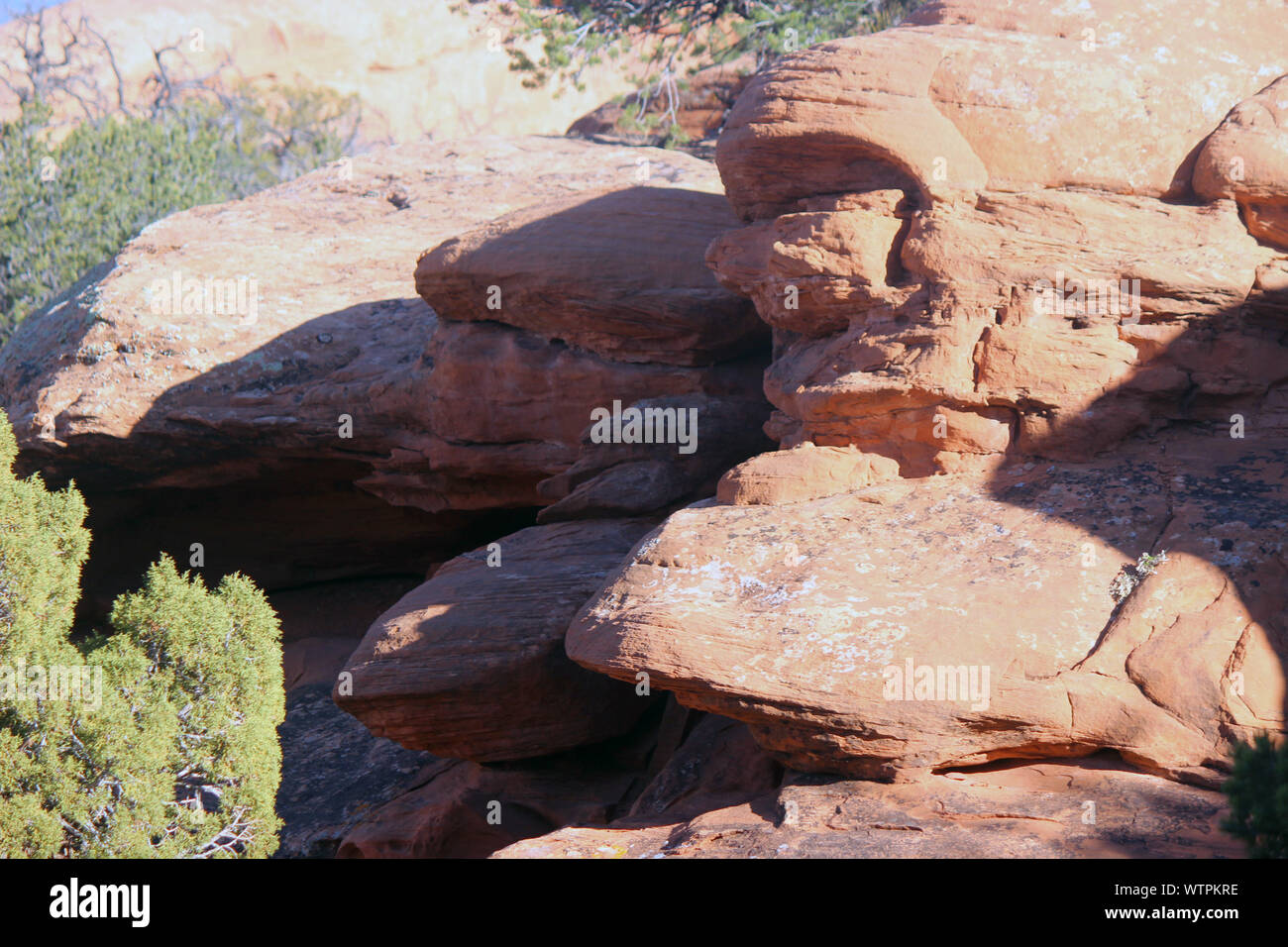 Rock cluster, Arches national park Banque D'Images