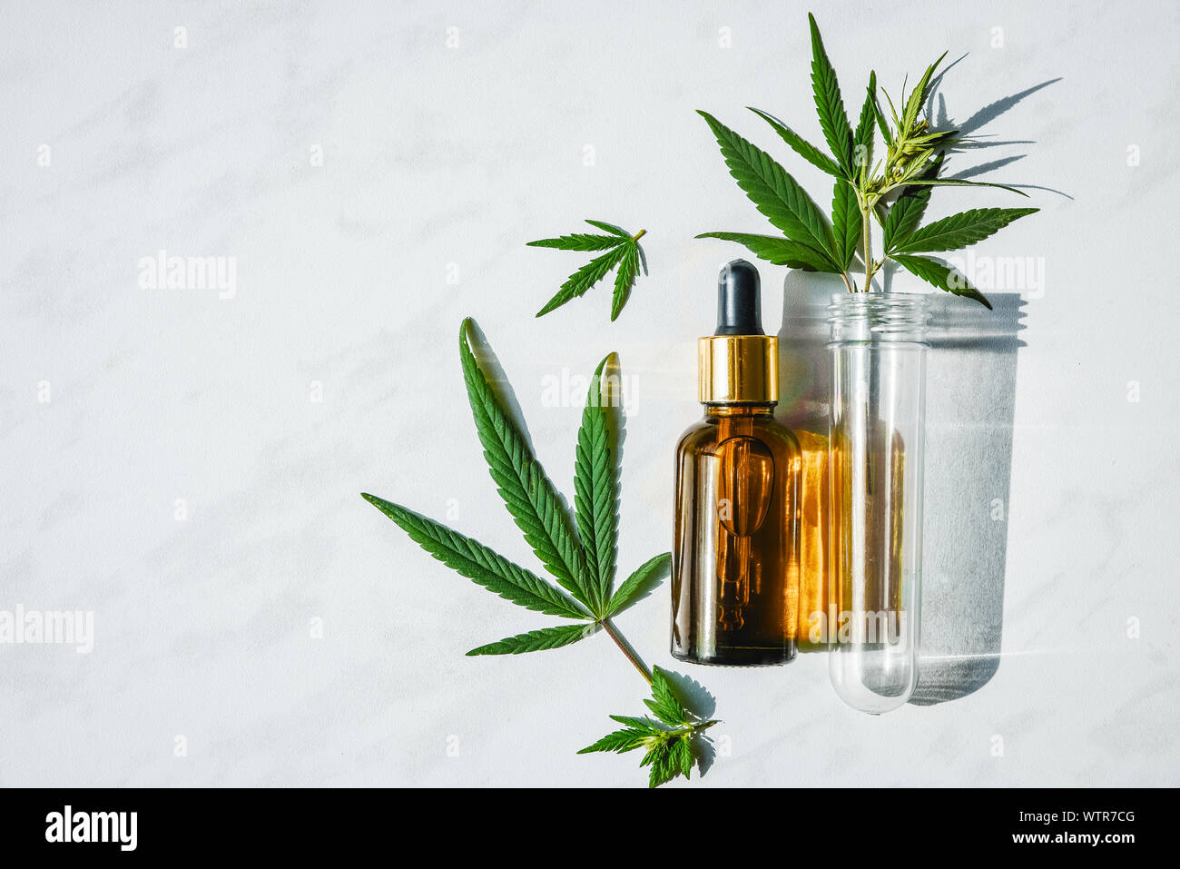 Le flacon en verre avec de l'huile de cannabis et un tube à essai avec des feuilles de chanvre sur un en arrière-plan. Copier l'espace. Banque D'Images