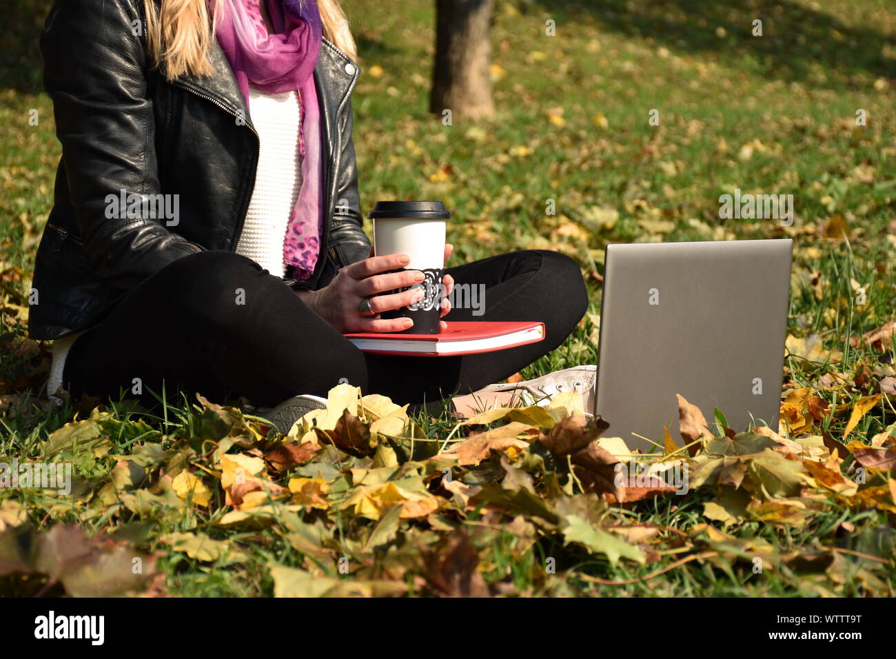 Portrait de jeune femme assise sur les feuilles qui tombent dans le parc à l'aide d'ordinateur portable Banque D'Images