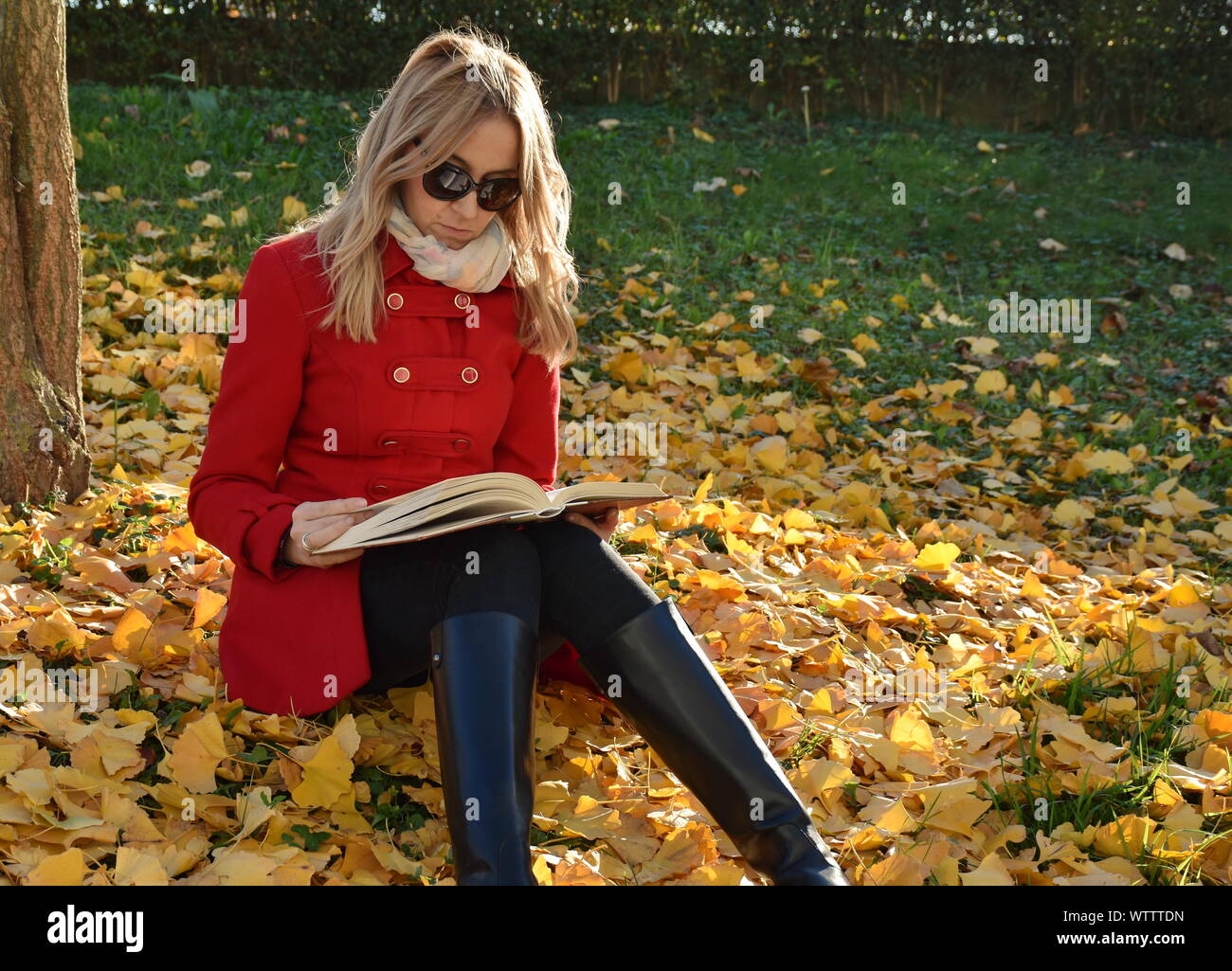 Portrait de la jeune femme assise sur la chute des feuilles dans le parc Banque D'Images