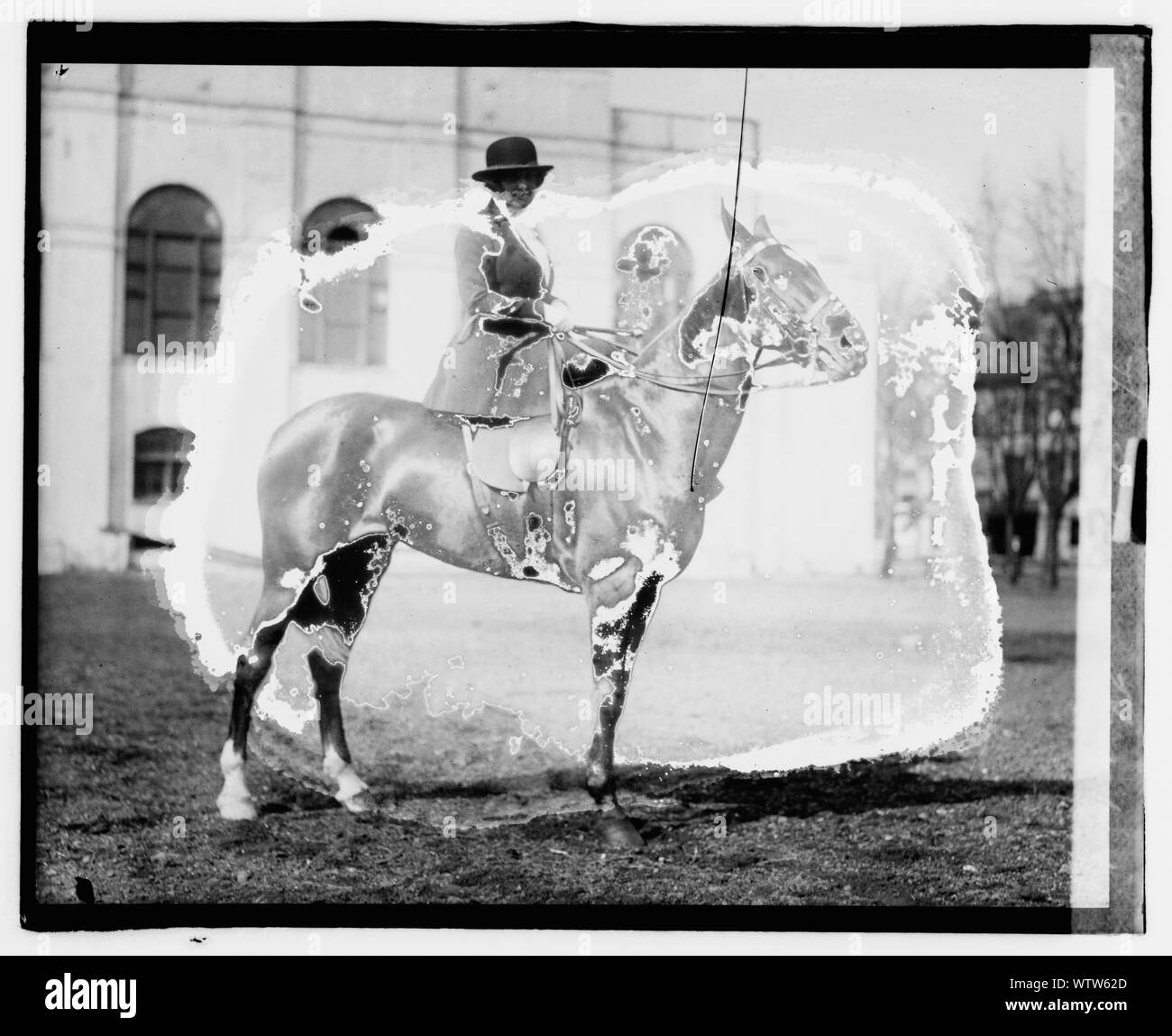 Mme Thos. F. Logan, centre Banque D'Images