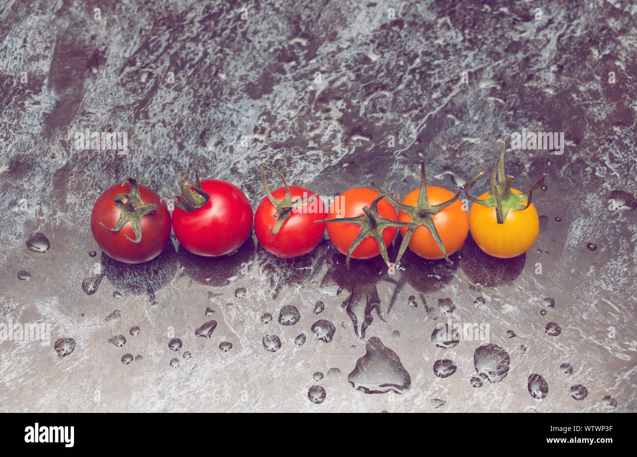 Gradation de couleur parfaite ligne de divers types de tomates sur surface mouillée Banque D'Images