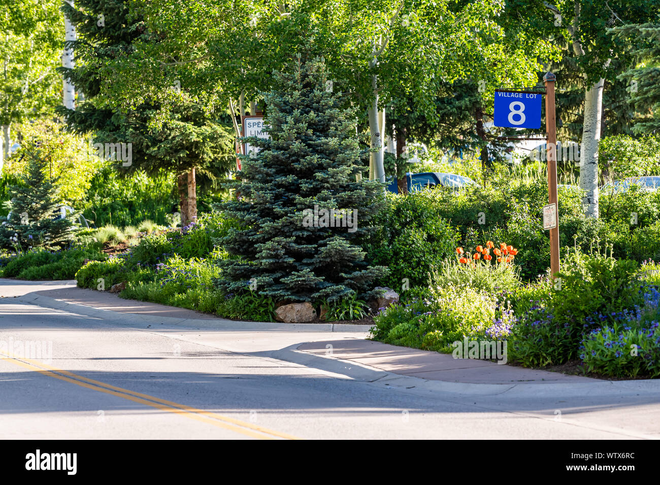 Aspen, USA - Le 24 juin 2019 : Snowmass village ville en Californie au centre-ville avec parking en ville haute avec fleurs et vide street road Banque D'Images