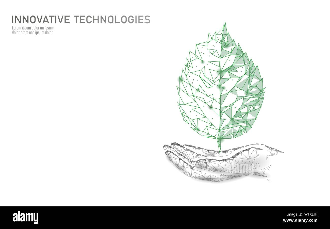 Hand holding green plant leaf concept abstrait écologique. Sauver la planète nature environnement bannière. Triangles polygone poly Eco basse vector illustration Illustration de Vecteur