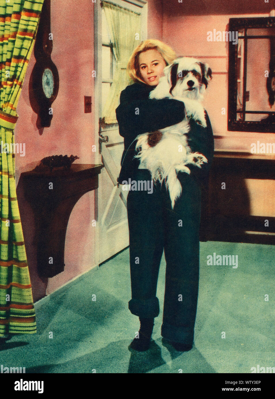 L'amour dans un bocal aka Blonde, süß und sehr, USA, 1961 de l'influenza aviaire, Regie : Jack Sher, acteurs : Tommy Sands, Toby Michaels Banque D'Images