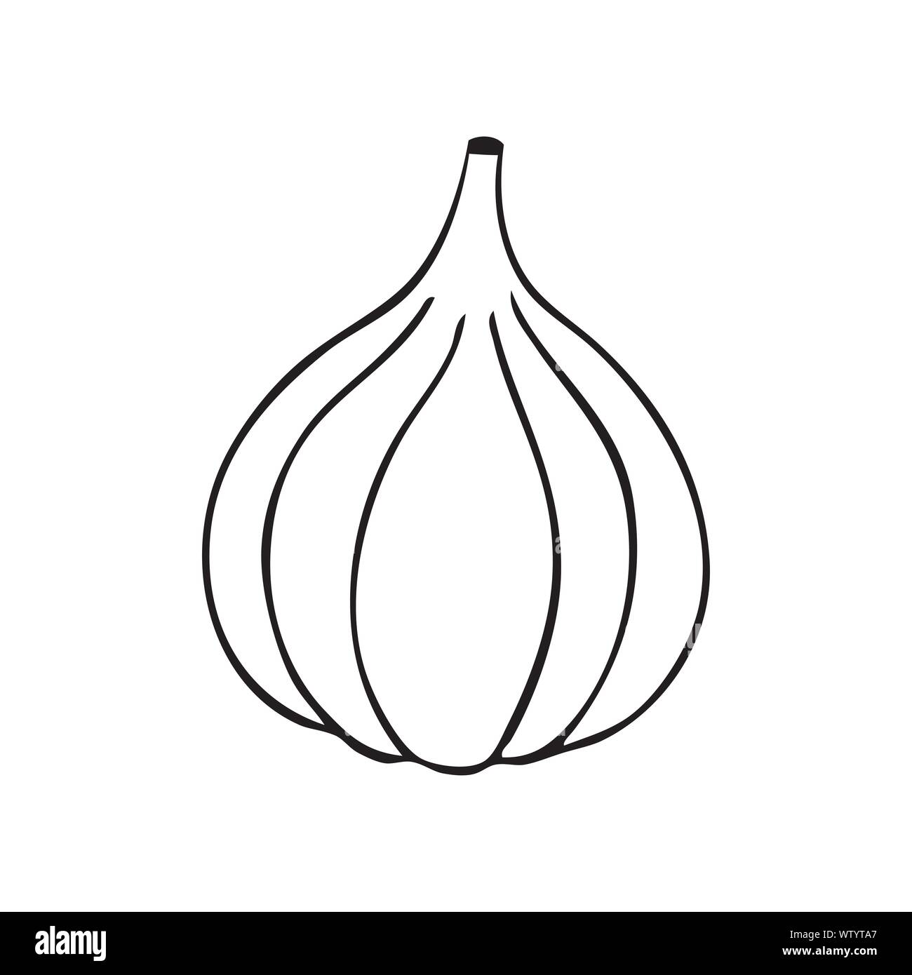 Vecteur de l'oignon noir et blanc Illustration de Vecteur