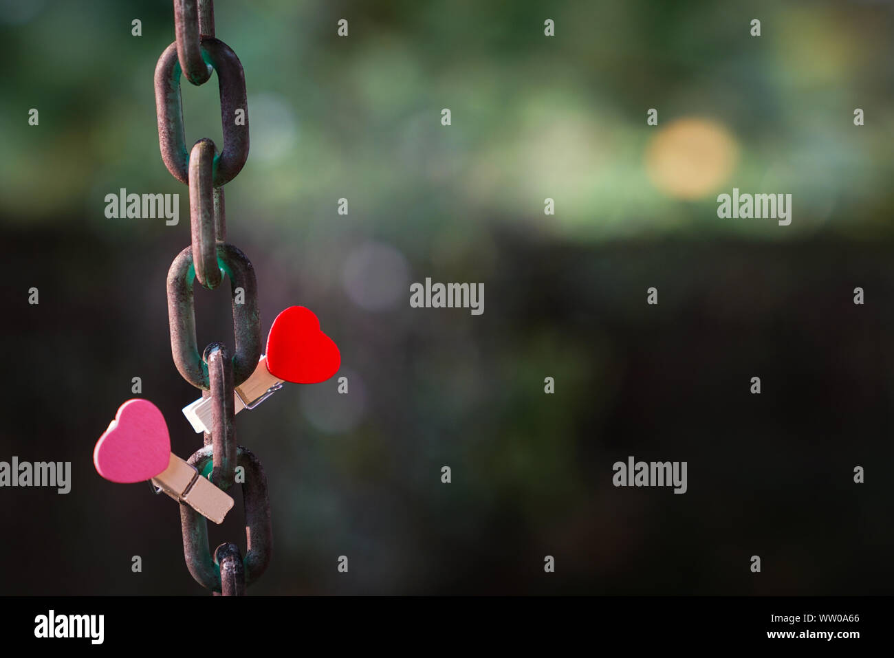 Love concept : deux clips rouge et rose avec forme de coeur sur une chaîne en acier avec jardin ou fond vert Banque D'Images