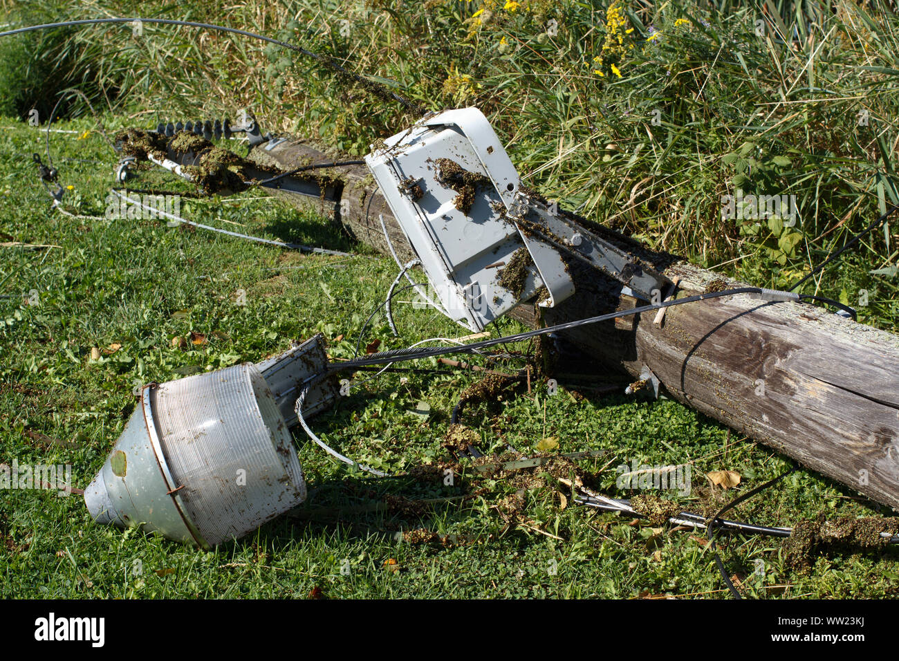 Poteau électrique tombé dans les régions rurales de la Nouvelle-Écosse après l'Ouragan Dorian. Banque D'Images