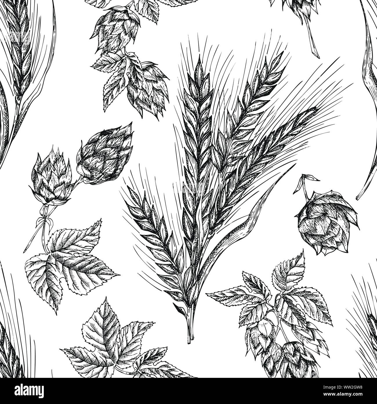 Modèle sans couture main botanique croquis des épis de blé de la Gerbe Agitée et hop isolé sur fond blanc. Leur gravure. Châssis de fines herbes. L'alimentation naturelle Illustration de Vecteur