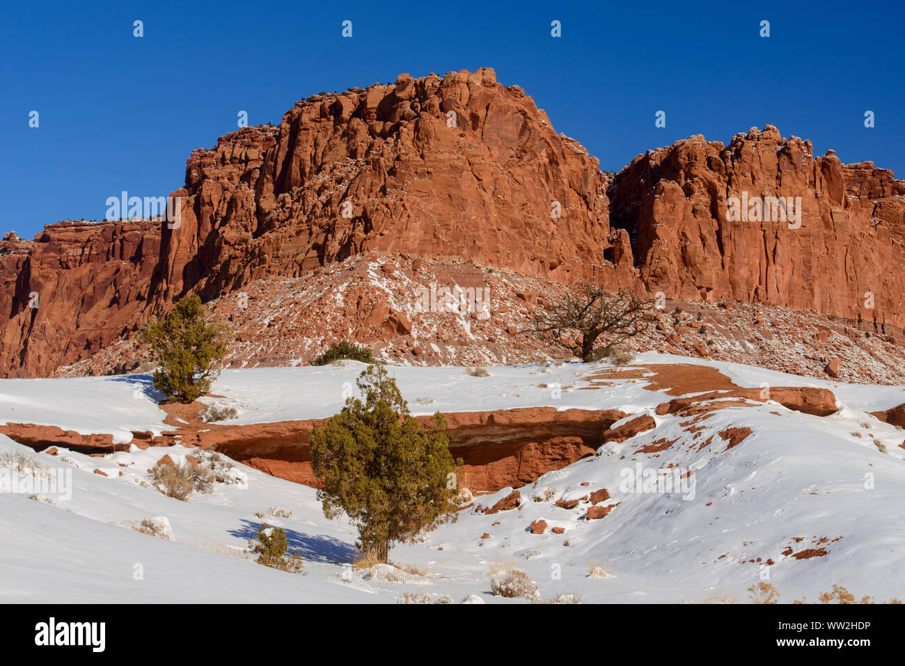 Neige fraîche dans le haut désert, Capitol Reef National Park, Utah, USA Banque D'Images