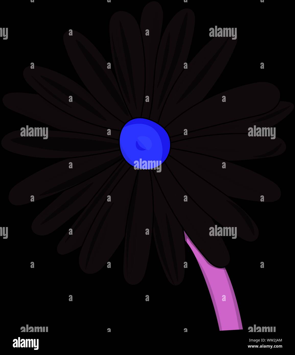 Vector illustration d'une marguerite Banque D'Images